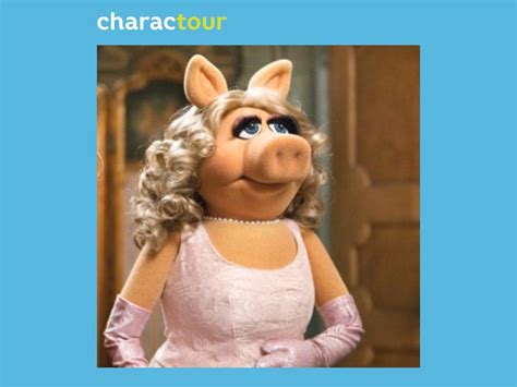 Miss Piggy From The Muppet Movie Charactour