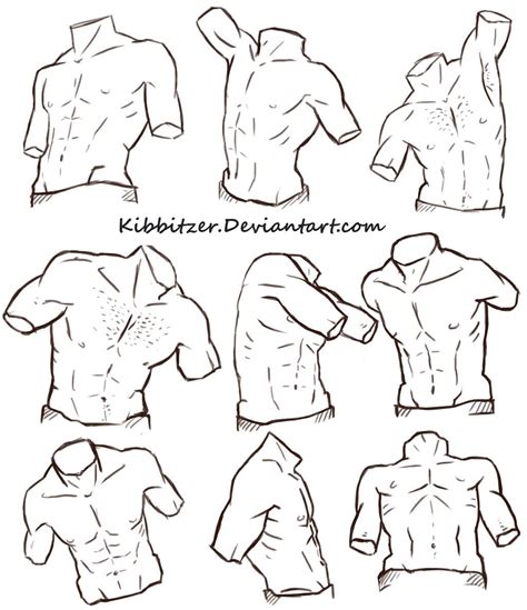 Torso Reference Sheet 2 By Kibbitzer On Deviantart Figure Drawing