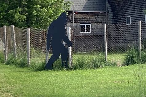 Paranormal Day Flashback To Some Maine Big Foot Sightings