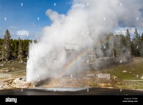 Riverside Geyser Yellowstone Stock Photo Alamy