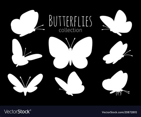 White butterfly silhouettes Royalty Free Vector Image