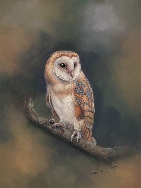 Barn Owl Sitting On A Tree Branch Portrait Realistic Wildlife Painting