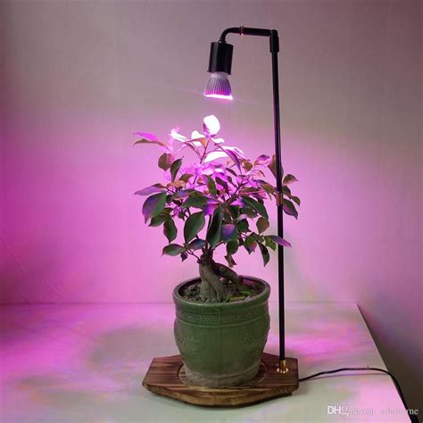 What Are The Best Indoor Grow Lights Ralnosulwe