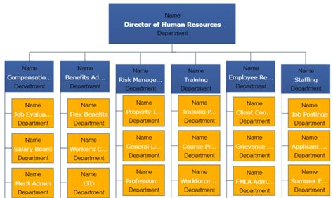 How To Create A Nonprofit Organizational Chart Edrawm