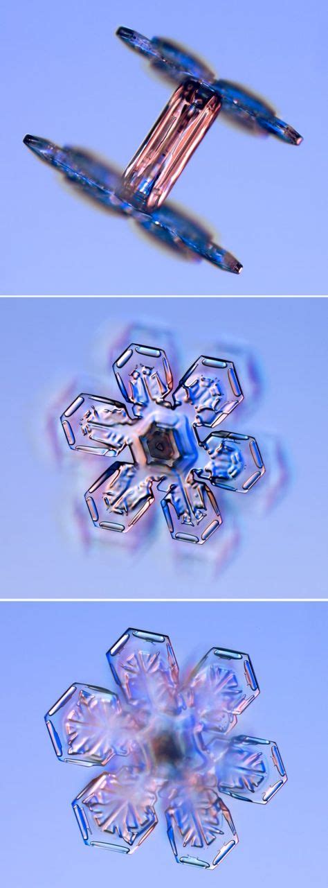 33 Season Snowflakes Ideas Snowflakes Snowflakes Real Snow Crystal