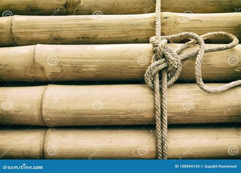 Bamboo Panel With A Rope Tied Stock Photo Image Of Bundle Branch