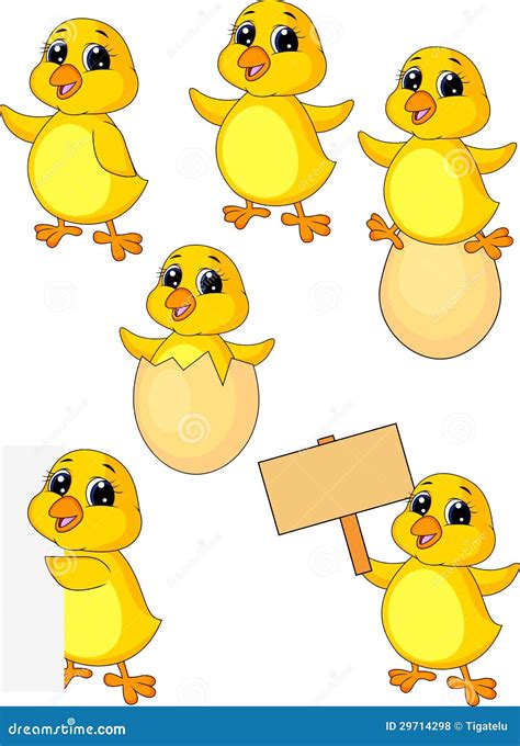 Cute Baby Chicken Cartoon Set Royalty Free Stock Photos Image 29714298