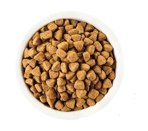 Best Dog Foods For German Shepherds And Puppies 2019s Vet Recommended