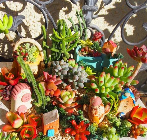 35 How To Make An Indoor Succulent Dish Garden