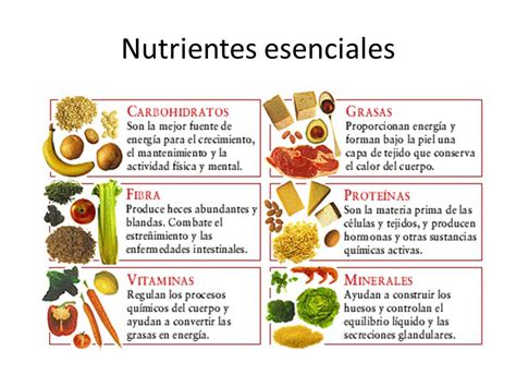 Ciencias 1 Nutrientes De Los Alimentos