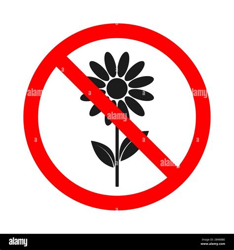 Forbidden Flowers Sign On White Background Prohibited Flower Icon