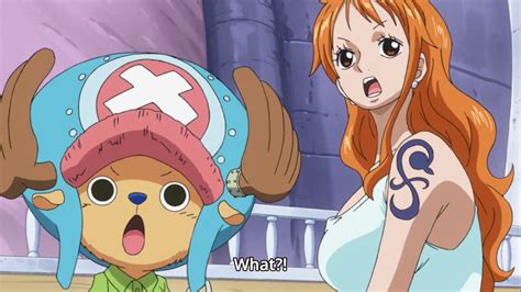 Nami And Chopper One Piece Anime Episode 785 One Piece Anime Episodes