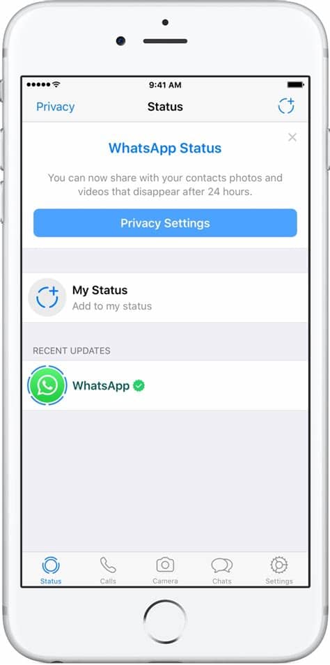 Here is all types of status video for downloading. How to create self destructing status updates on WhatsApp
