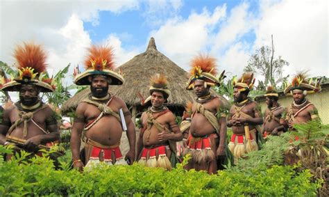 La Papouasie Nouvelle Guinée En Photos Cultures Croisées En Île De France