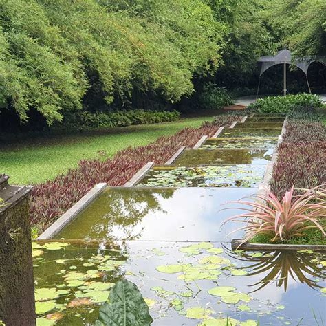 Brief Garden Tour Things To Do In Bentota Taru Villas
