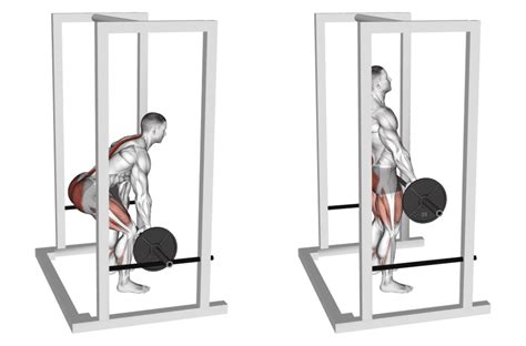Rack Pull Benefits Techniques And Muscles Worked Corpus Aesthetics