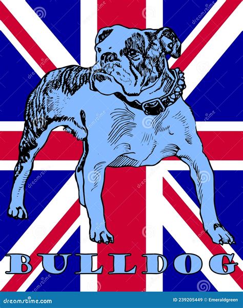 British Bulldog Stock Illustration Illustration Of Hand 239205449
