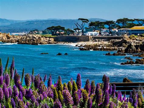 Monterey Things To Do With Kids And Families Spindrift Inn