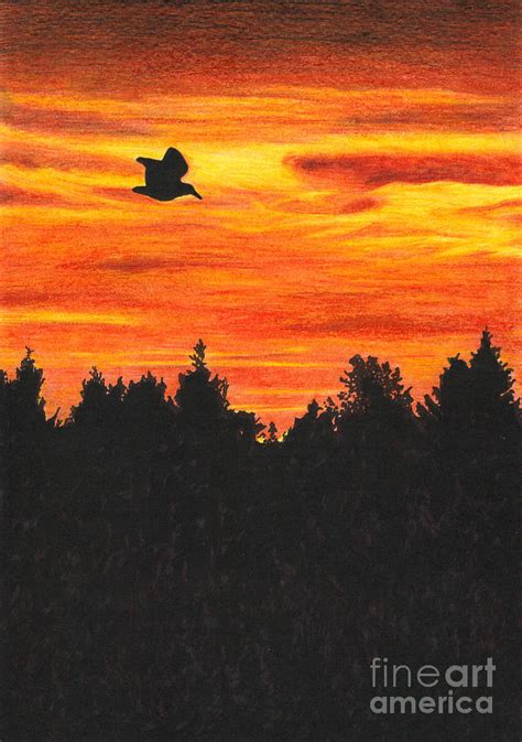 Sunset Sky With Bird Drawing By Marylene Charvet Fine Art America