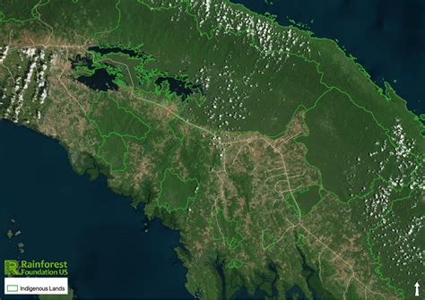 Landmark Decision Paves Way For Land Rights In Panama Rainforest