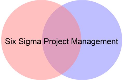 Six Sigma Project Management Biopm Llc
