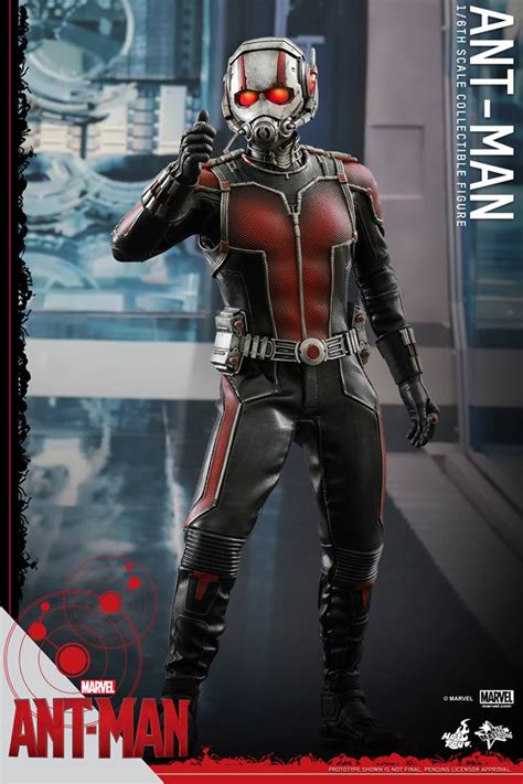 It is the twelfth installment in the marvel cinematic universe. Hot Toys Ant-Man Figure Photos & Up for Order! - Marvel ...