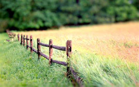 Wallpaper Nature Landscape Fence Grass Blur Background
