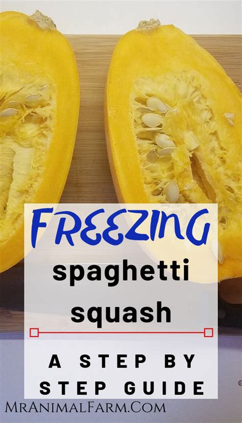 If You Need A Way To Preserve Extra Spaghetti Squash You Should Try