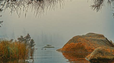 2560x1440 Foggy Lake 1440p Resolution Wallpaper Hd Nature 4k