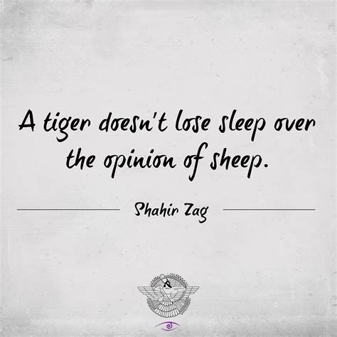 A Tiger Doesnt Lose Sleep Over The Opinion Of Sheep Motivation Quote