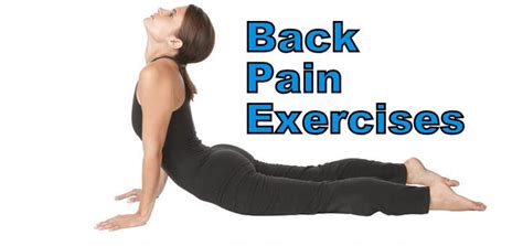 Physiotherapist Exercise For Back Pain Exercisewalls