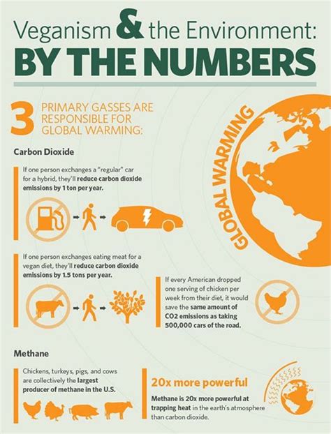 Global Warming Global Warming Reasons To Go Vegan Infographic