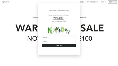 10 Shopify Popup Examples That Convert How To Copy Them