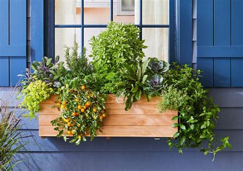 This Window Box Plan Will Supply You With Fresh Veggies And Herbs This Summer In 2020 Window