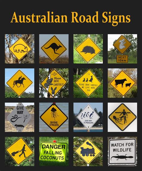 27 Problems That Prove Australia Is Batshit Insane Australian Road