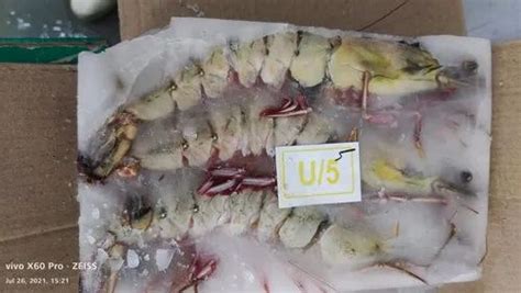 Tiger Prawns Wholesale Price Mandi Rate For Tiger Prawns