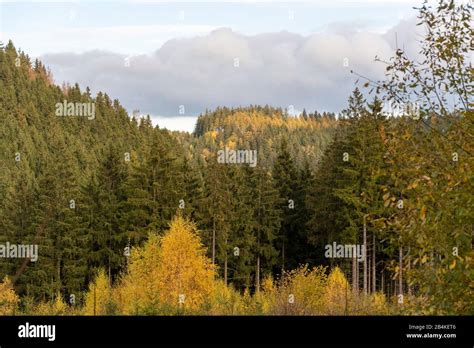 Thuringian Forest Autumn Leaves Autumn Forest Landscape Stock Photo
