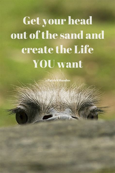 Get Your Head Out Of The Sand And Create The Life You Want