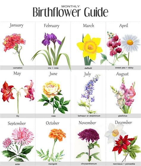Birth Month Flowers Pinteres