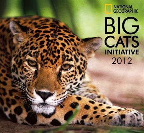 Nietzsche Loves Cats Big Cats Calendar 2102 （national Geographic）