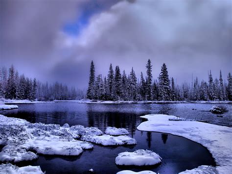 Cold Snow At Big Lake By Charles And Patricia Harkins Picture Oregon