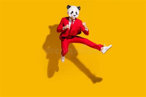 Panda Jumper Stock Photos Free And Royalty Free Stock Photos From