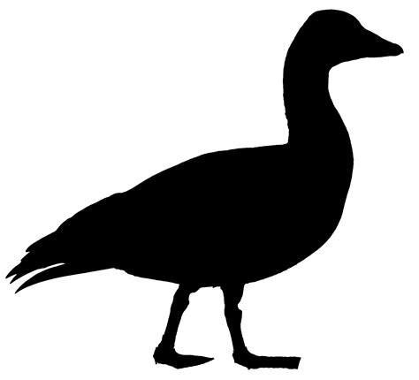 Goose clipart snow goose, Goose snow goose Transparent FREE for download on WebStockReview 2021