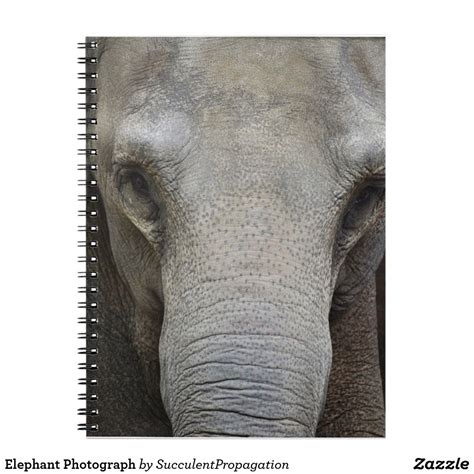 Elephant Photograph Journals Elephant Journal Notebook