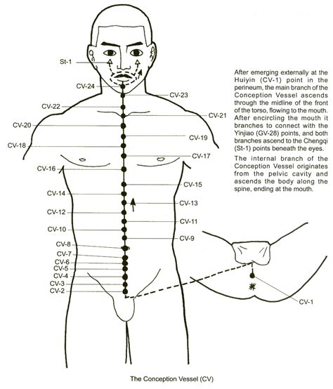The Governing Vessel Meridian Acupuncture Medical Intuitive Acupuncture
