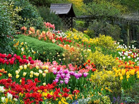 Top 125 Vườn Hoa đà Lạt đẹp Nhất Vn