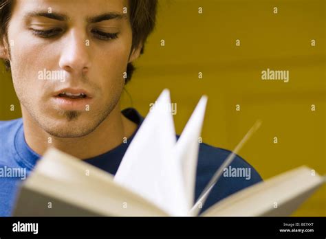 Young Man Reading Book Stock Photo Alamy