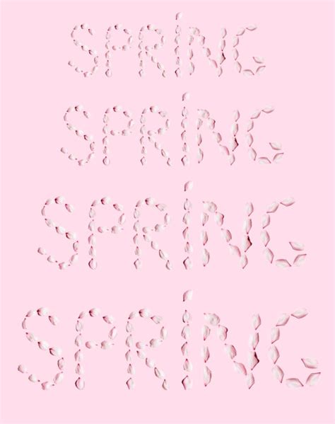 Premium Photo Pattern Of Word Spring Made Of Cherry Petals On Pink
