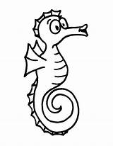 Coloring Seahorse Clipart Clip Cute sketch template