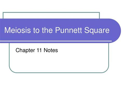 PPT Meiosis To The Punnett Square PowerPoint Presentation Free